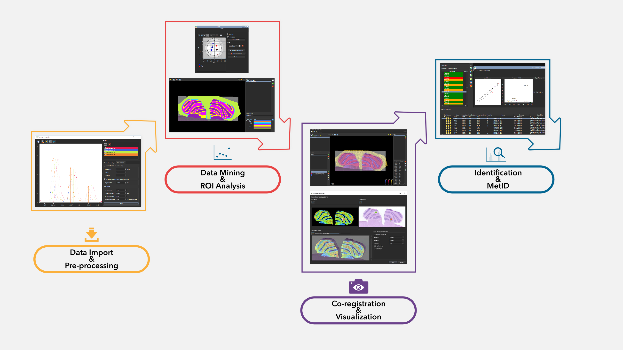 LipostarMSI workflow LipostarMSI